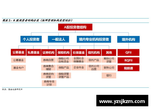 体育明星收益的多元化分析从赞助到投资的全景探讨