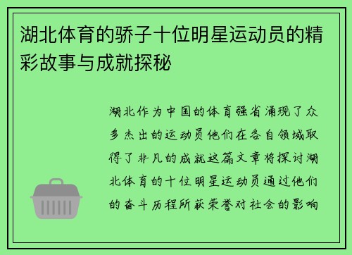湖北体育的骄子十位明星运动员的精彩故事与成就探秘